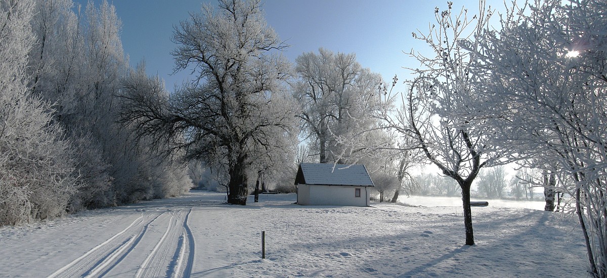 ein herrlicher kalter Wintertag, der Raureif läßt die Bäume erstrahlen